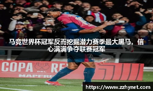 星空官网