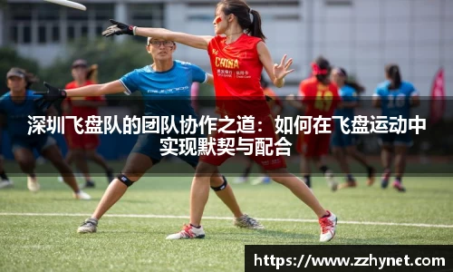 星空体育(中国)官方网站
