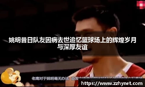 星空体育网站入口